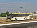 Viação Araguarina 3181 na cidade de Anápolis, Goiás, Brasil, por Nathanael de Jesus  Azevedo. Número da foto: #4456268.