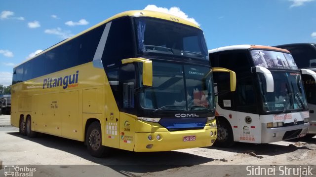 Pitangui Turismo 5500 na cidade de Aparecida, São Paulo, Brasil, por Sidnei Machado Strujak. Número da foto: #4458041.