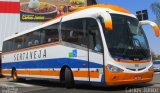 Viação Sertaneja 590 na cidade de Goiânia, Goiás, Brasil, por Carlos Júnior. Número da foto: #4458781.