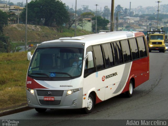 Rouxinol 275 na cidade de Belo Horizonte, Minas Gerais, Brasil, por Adão Raimundo Marcelino. ID da foto: 4463535.