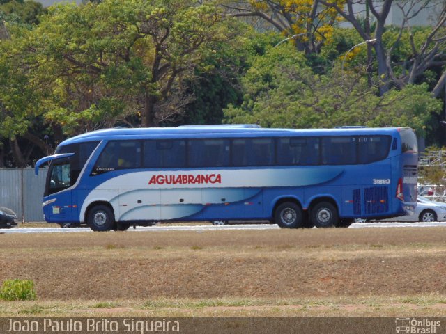 Viação Águia Branca 31880 na cidade de Brasília, Distrito Federal, Brasil, por João Paulo Brito Siqueira. Número da foto: #4462271.