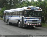 Ônibus Particulares 11 na cidade de Alto Paraíso de Goiás, Goiás, Brasil, por Fernando Gonzalez Garita. Número da foto: #4464919.