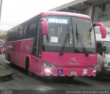 BIUSA 45 na cidade de Alto Paraíso de Goiás, Goiás, Brasil, por Fernando Gonzalez Garita. Número da foto: #4464833.