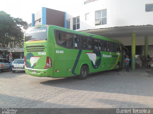 Pássaro Verde 1040 na cidade de Manhuaçu, Minas Gerais, Brasil, por Daniel Teixeira . Número da foto: #4467607.