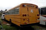 Escolares 6017 na cidade de Assis, São Paulo, Brasil, por Francisco Ivano. Número da foto: #4468655.