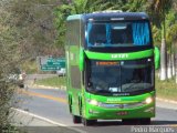 Pássaro Verde 12121 na cidade de Ponte Nova, Minas Gerais, Brasil, por Pedro Henrique Marques Freitas . Número da foto: #:id.