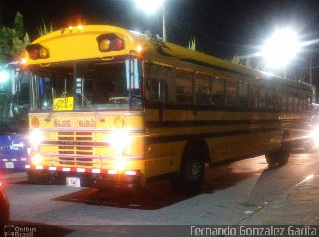 Ônibus Particulares CB 2441 na cidade de Alto Paraíso de Goiás, Goiás, Brasil, por Fernando Gonzalez Garita. ID da foto: 4468978.