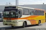 Flecha Amarilla 9035 na cidade de Celaya, Guanajuato, México, por Omar Ramírez Thor2102. Número da foto: #4470177.