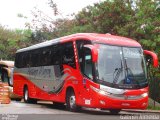 Empresa de Ônibus Pássaro Marron 5636 na cidade de São Paulo, São Paulo, Brasil, por Gabriel Almeida. Número da foto: #4472209.