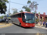 Ônibus Particulares 6519 na cidade de Belo Horizonte, Minas Gerais, Brasil, por João César Luz. Número da foto: #4471094.