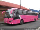 BIUSA 17 na cidade de Alto Paraíso de Goiás, Goiás, Brasil, por Fernando Gonzalez Garita. Número da foto: #4430689.
