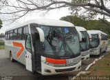 Viação Alvorada 816 na cidade de Vitória, Espírito Santo, Brasil, por Willian Venturini Pereira. Número da foto: #:id.