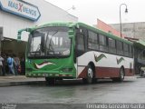 Transplusa SJB 12822 na cidade de Alto Paraíso de Goiás, Goiás, Brasil, por Fernando Gonzalez Garita. Número da foto: #4430701.