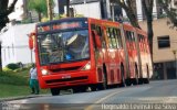 Transporte Coletivo Glória BD148 na cidade de Curitiba, Paraná, Brasil, por Reginaldo Levinski da Silva. Número da foto: #4473788.