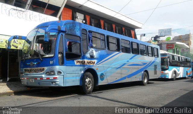 TUAN RL 01 na cidade de Alto Paraíso de Goiás, Goiás, Brasil, por Fernando Gonzalez Garita. Número da foto: #4476476.