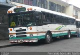 Transportes Rutas 407 y 409 S.A. HB 3435 na cidade de Alto Paraíso de Goiás, Goiás, Brasil, por Fernando Gonzalez Garita. Número da foto: #4476468.