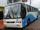 Beija Flor 344 na cidade de Santa Helena, Paraná, Brasil, por Felipe  Dn. Número da foto: #4477352.