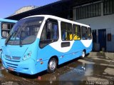Ônibus Particulares 3499 na cidade de Belo Horizonte, Minas Gerais, Brasil, por Adão Raimundo Marcelino. Número da foto: #4481587.