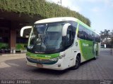 Pássaro Verde 1047 na cidade de Belo Horizonte, Minas Gerais, Brasil, por Adriano  Almeida. Número da foto: #:id.