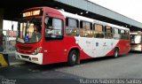 Itajaí Transportes Coletivos 2028 na cidade de Campinas, São Paulo, Brasil, por Matheus Gabriel dos Santos. Número da foto: #4486921.