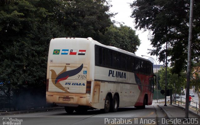 Pluma Conforto e Turismo 3918 na cidade de São Paulo, São Paulo, Brasil, por Cristiano Soares da Silva. ID da foto: 4489376.