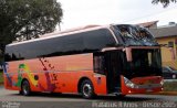 Chilebus Internacional 221 na cidade de São Paulo, São Paulo, Brasil, por Cristiano Soares da Silva. Número da foto: #4489462.