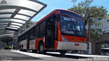 TRANSPPASS - Transporte de Passageiros 8 1096 na cidade de São Paulo, São Paulo, Brasil, por Asprilla Matheus. Número da foto: #4489933.