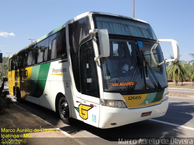 Empresa Gontijo de Transportes 12665 na cidade de Ipatinga, Minas Gerais, Brasil, por Marco Aurélio de Oliveira. ID da foto: 4493462.