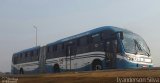 Metrobus 1142 na cidade de Goianira, Goiás, Brasil, por Lyanderson Silva. Número da foto: #4495445.
