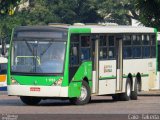 Viação Santa Brígida 1 1783 na cidade de São Paulo, São Paulo, Brasil, por Caio  Takeda. Número da foto: #4433743.