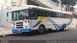 Coopepar RL CB 2965 na cidade de Alto Paraíso de Goiás, Goiás, Brasil, por Fernando Gonzalez Garita. Número da foto: #4433766.