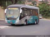 Expresso Luziense > Territorial Com. Part. e Empreendimentos 30397 na cidade de Santa Luzia, Minas Gerais, Brasil, por Luiz Carlos Souza. Número da foto: #4497393.