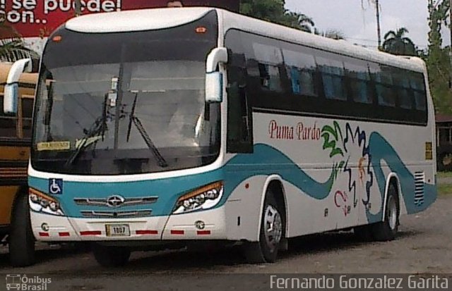 Puma Pardo LB 1807 na cidade de Alto Paraíso de Goiás, Goiás, Brasil, por Fernando Gonzalez Garita. Número da foto: #4437869.