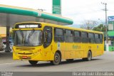 Ecobus 1128 na cidade de São Sebastião, São Paulo, Brasil, por Ricardo Luiz. Número da foto: #4441995.