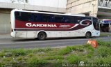 Expresso Gardenia 3170 na cidade de Campinas, São Paulo, Brasil, por Matheus Gabriel dos Santos. Número da foto: #4444387.